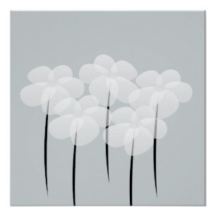 Póster Abstrato White Anemones Poster