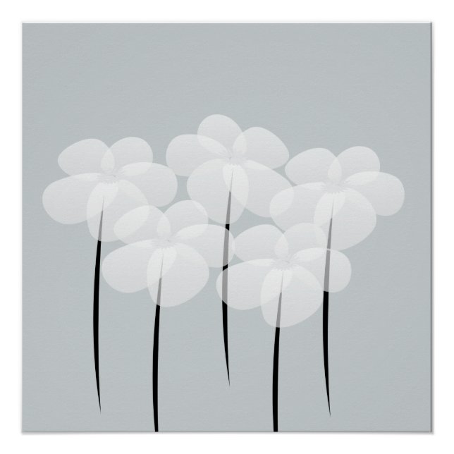 Póster Abstrato White Anemones Poster (Frente)