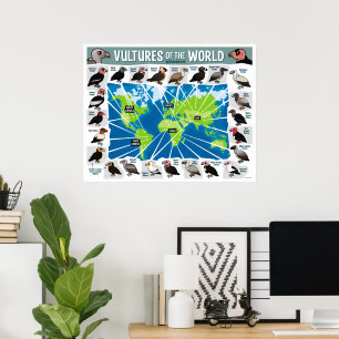 Poster Abutres do Mapa do Mundo