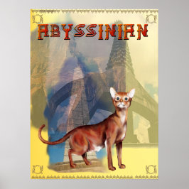 Poster Abyssinian