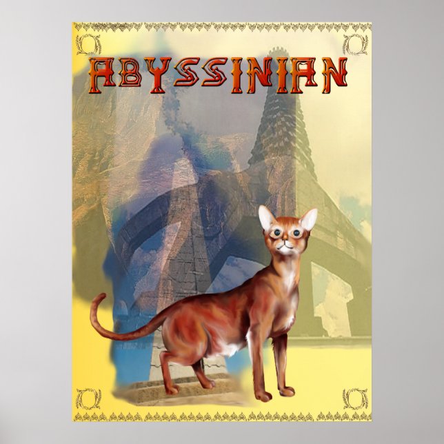 Poster Abyssinian (Frente)