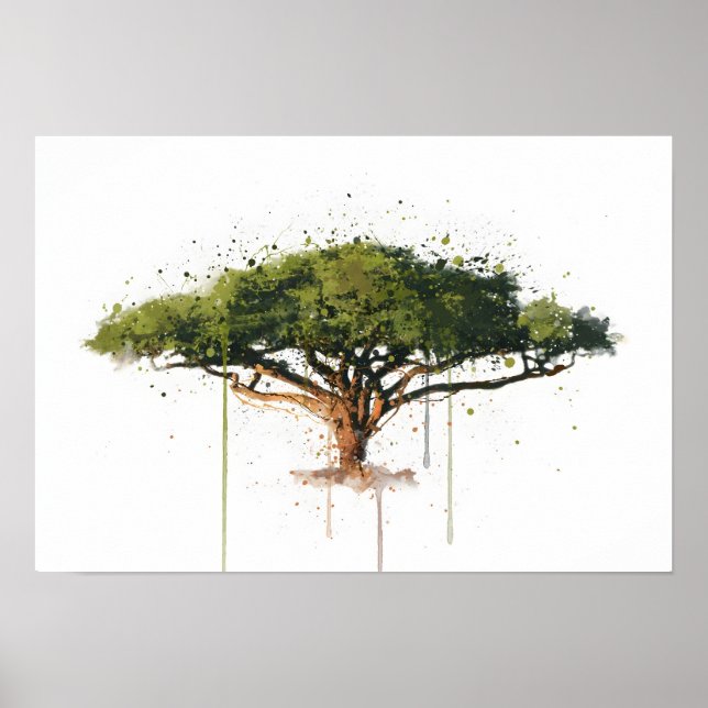 Poster Acacia (Frente)