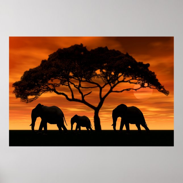 Poster Acacia Elephant Sunset (Frente)