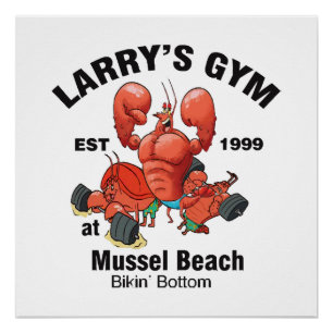 Póster Academia do Larry na Praia de Mexilhão