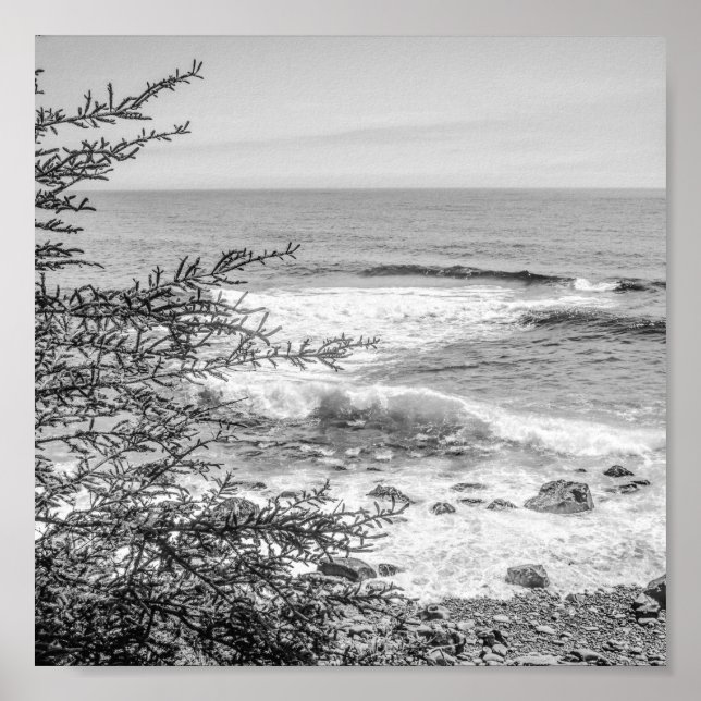 Poster Acadia Maine Coastline Black and White Archival (Frente)