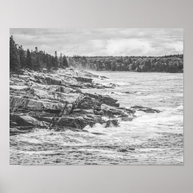 Poster Acadia Maine Rocky Coastline Black and White (Frente)