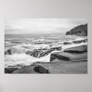 Poster Acadia Rocky Coastline in Maine Black and White