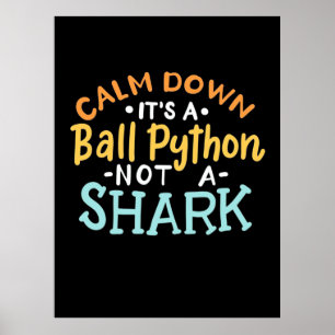 Poster Acalme-Se, É Um Python Ball