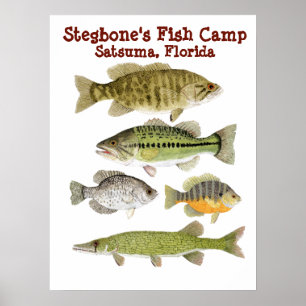 Poster Acampamento dos peixes de Stegbone
