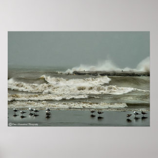 Póster Ação Wave nº 1