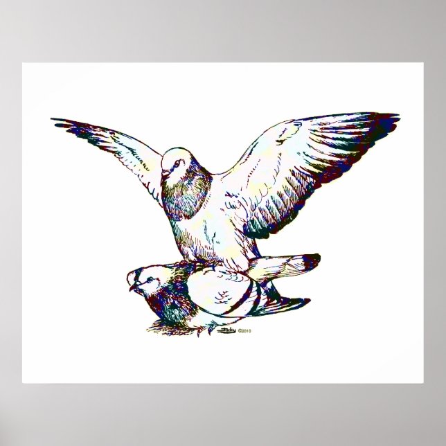 Póster Acasalamento de porcos (Frente)