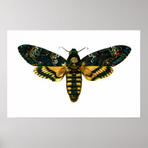 Póster Acherontia atropos (Death's Head Hawkmoth)