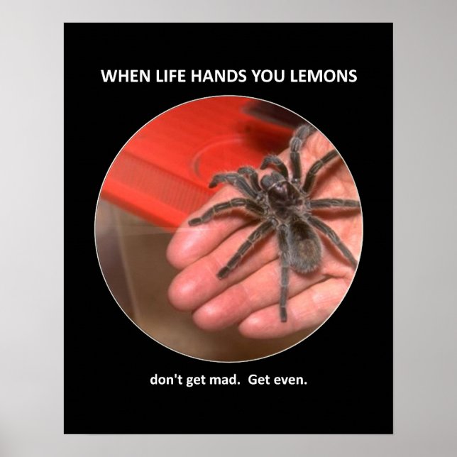 Poster Aconselhamento Engraçado Não fique louco (Frente)