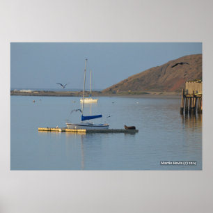 Poster Acordares de vedação