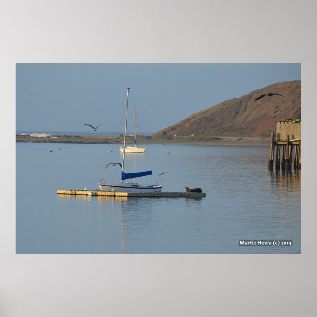 Poster Acordares de vedação (Frente)