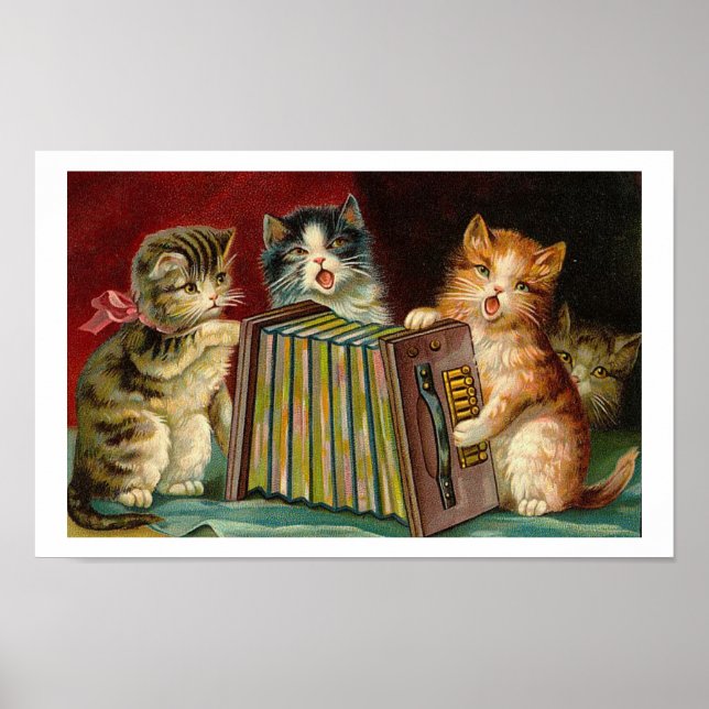 Poster Acordeon Kittens Rock! Pôster (Frente)