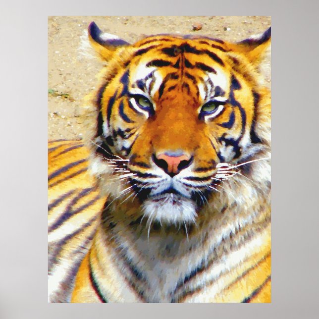 Póster Acredita_Poster (Frente)