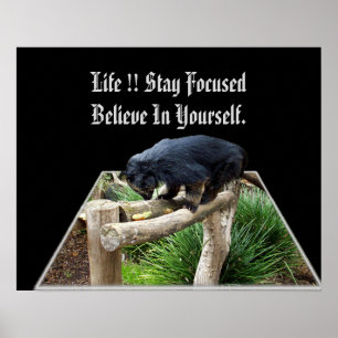 Poster Acredite Em Sua Mensagem Com Bearcat,