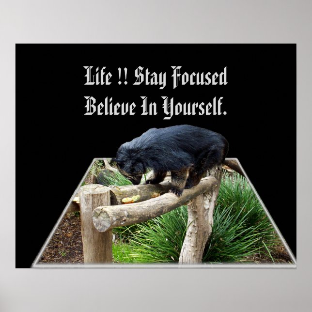 Poster Acredite Em Sua Própria Mensagem Com Bearcat, (Frente)