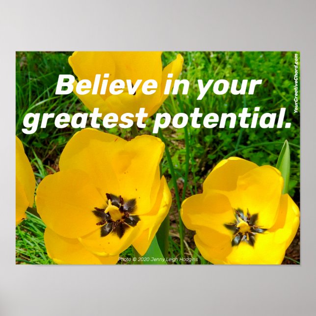 Poster Acredite No Seu Maior Potencial. (Frente)