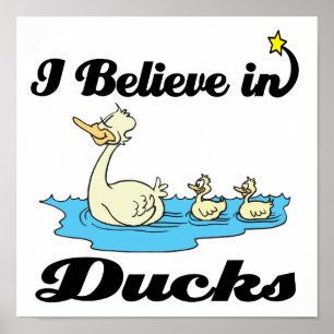 Póster acredito em patos