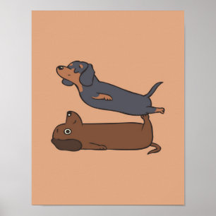 Poster Acroyoga Dachshund  Presente de Dachshund Lover