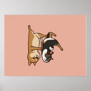Poster Acroyoga Shiba Inu Amantes Cute Shiba Inu Yoga