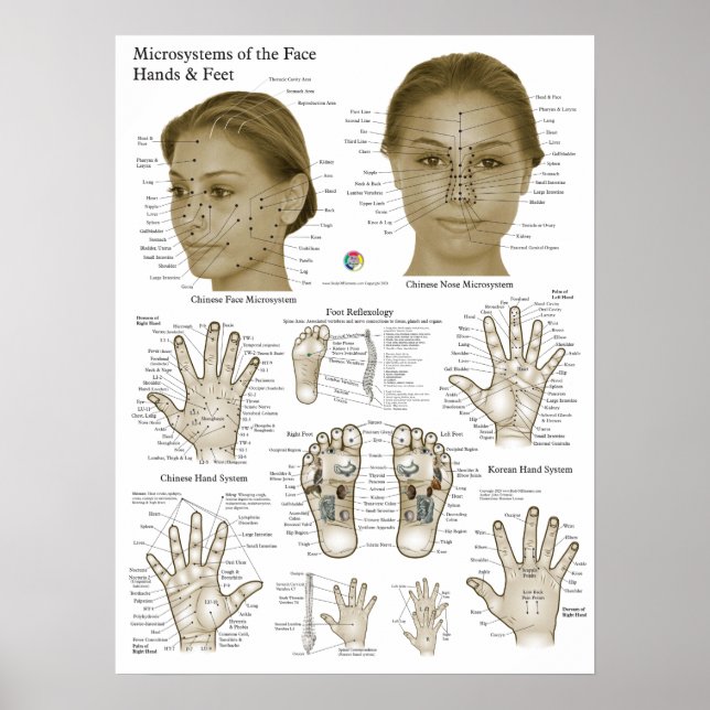 Poster Acupressure Points Face Hand Feet (Frente)