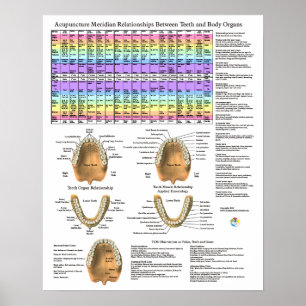 Poster Acupuntura Dental Dentes Meridianos