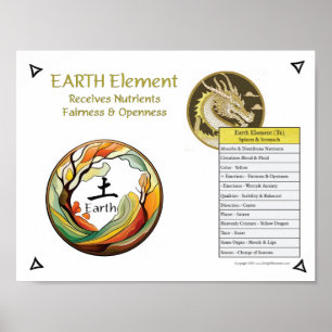 Poster Acupuntura do Elemento Terra