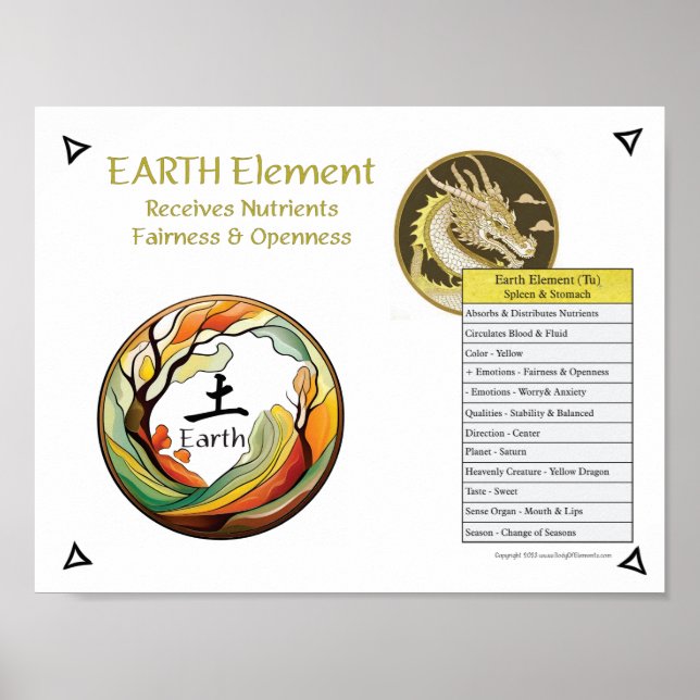 Poster Acupuntura do Elemento Terra (Frente)