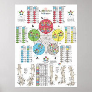 Poster Acupuntura dos Cinco Elementos Franceses