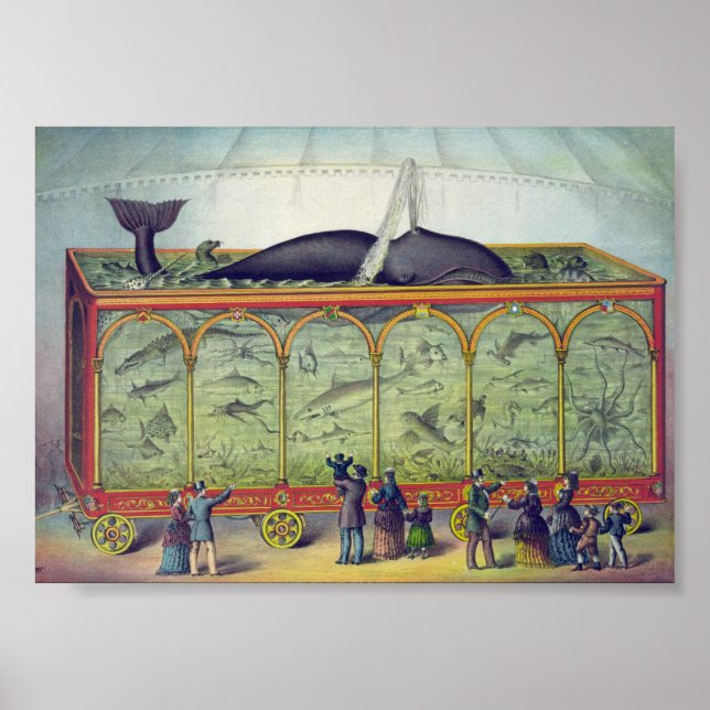 Poster Ad Aquário Vintage (Frente)