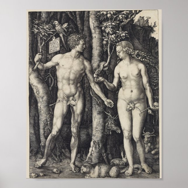 Poster Adam e Eve, gritando por Albrecht Durer (Frente)