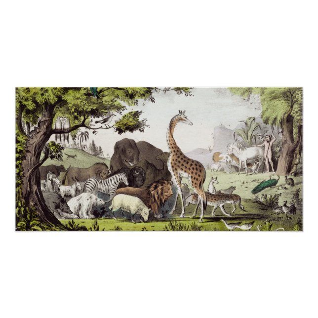 Póster Adam Nomeia as Criaturas (Frente)