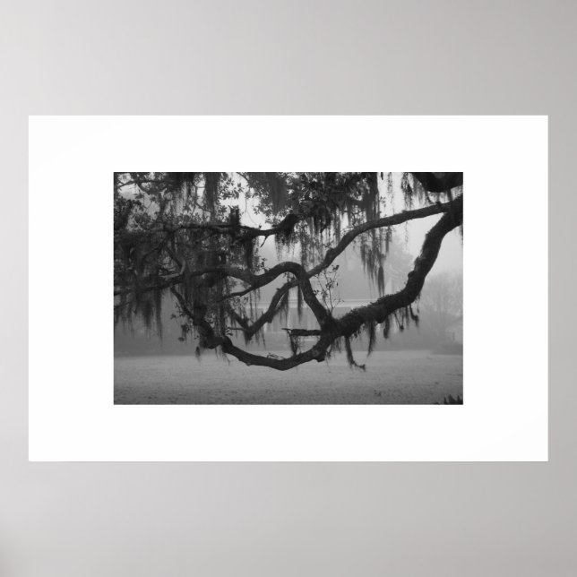 Póster Addis House (Frente)