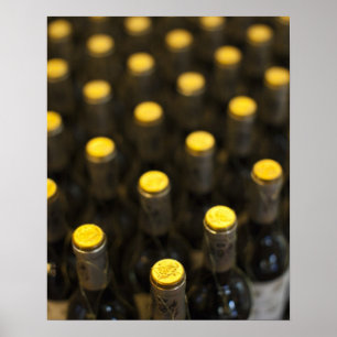 Póster Adega Marques de Riscal, garrafas de vinho