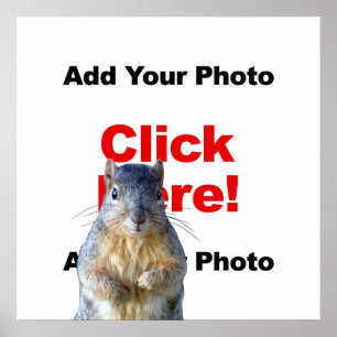Póster Adicionar um pôster personalizado de um esquilo