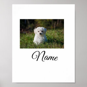 Poster Adicione o nome do texto da imagem do seu animal d