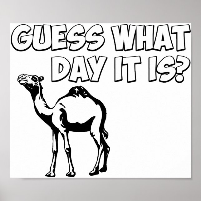 Póster Adivinha Que Dia É? Camelo Hump Day (Frente)
