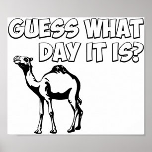 Póster Adivinha Que Dia É? Camelo Hump Day
