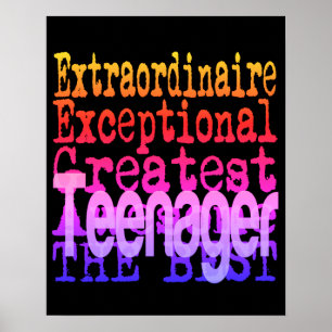 Poster Admirador Extraordinário