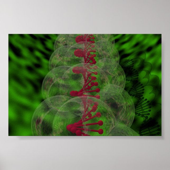 POSTER ADN1 (Frente)