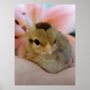 Póster Adolescente na Mão