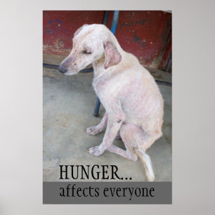 Poster Adopt não compra
