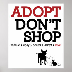 Póster Adopt não compra