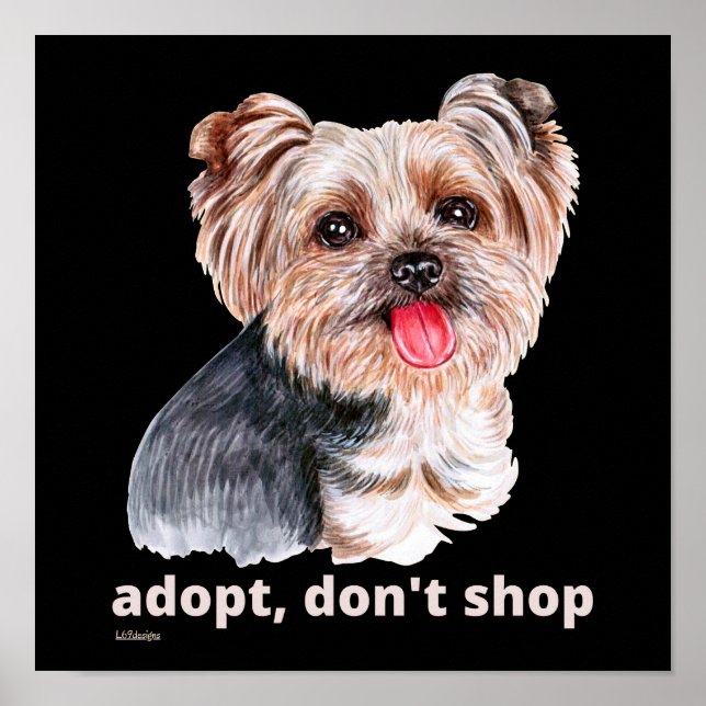 Poster ADOPT, NÃO COMPRE (Yorkshire Terrier) cachorro bon (Frente)