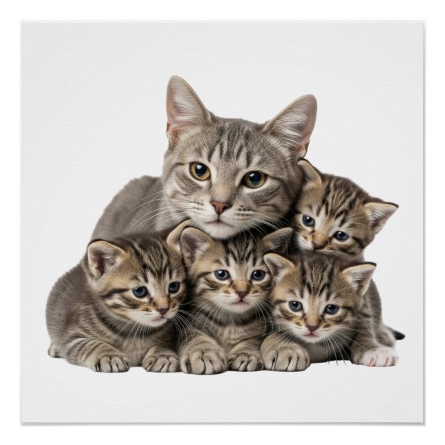 Póster "Adorable Cat Family Cuddle" (Frente)