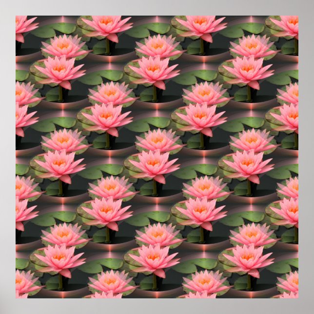 Poster Adorando Lily.. (Frente)