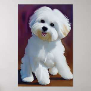 Poster Adorável Bichon Havanese Puppy Watercolor
